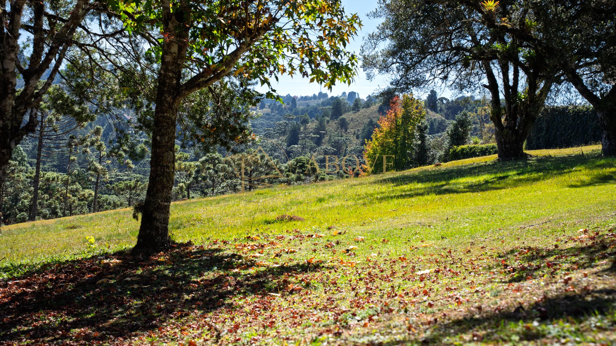Terreno “SINGULAR LAND” - foto4