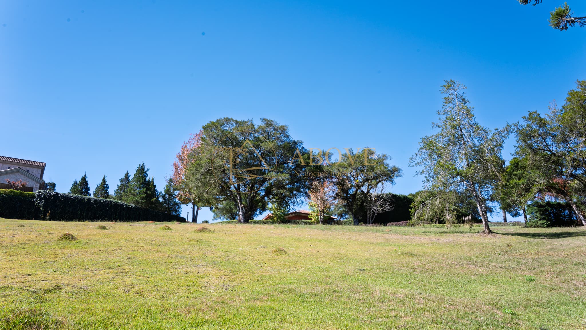 Terreno “SINGULAR LAND”
